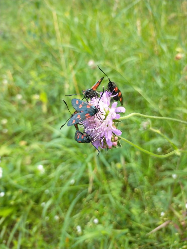 Photograph by Оксана Макарова