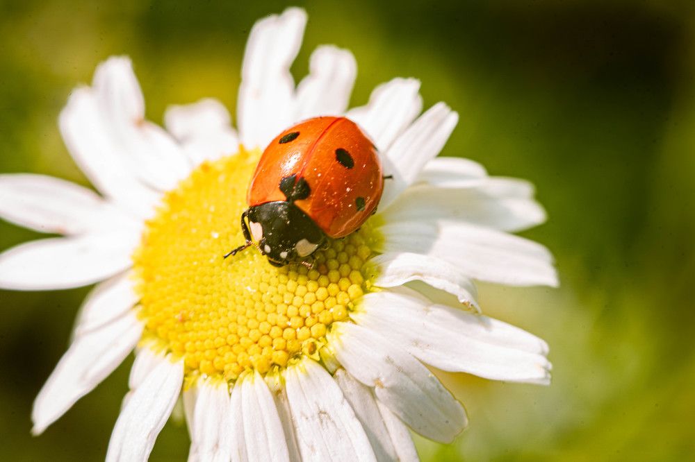 Photograph by Андрей Шишлов