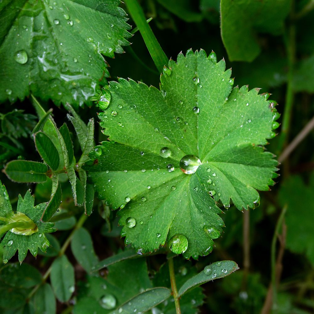 Photograph by Виталий Павлов