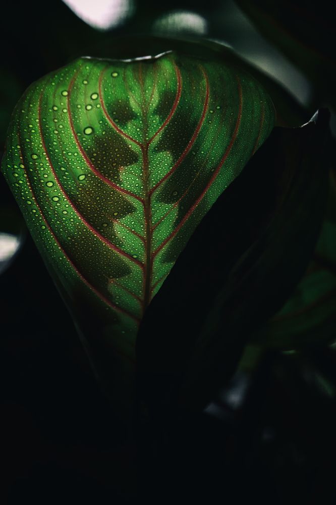 Photograph by Виталий Павлов