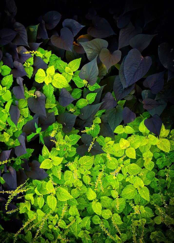 Photograph by Виталий Павлов