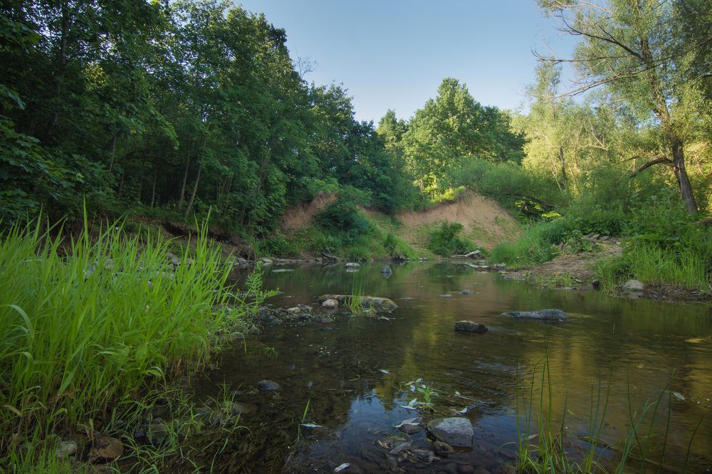 Фотография автора Хвойнова Елена