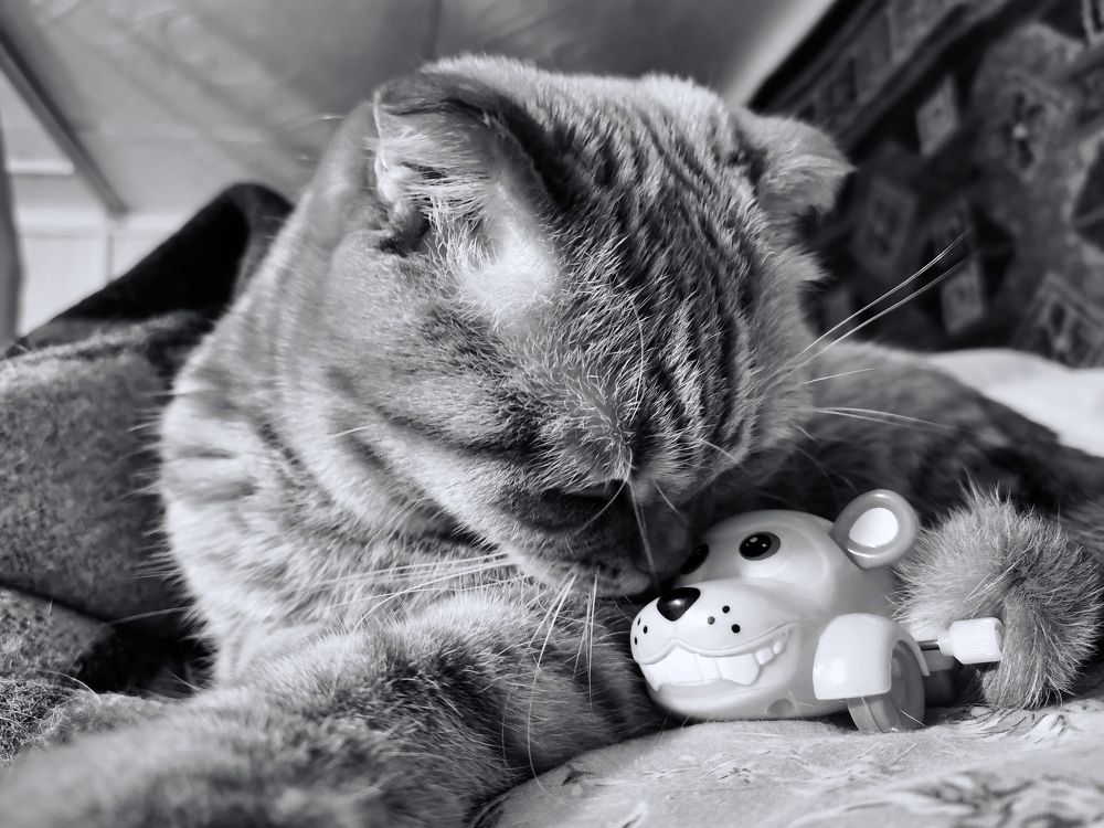 Фотография автора Валерий Цуркан