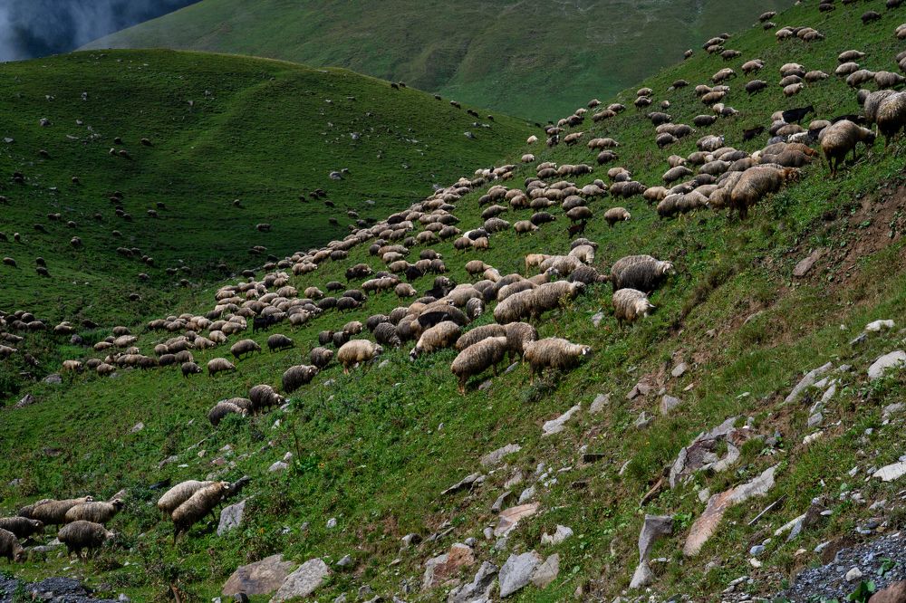 Photograph by Дмитрий Бахтадзе