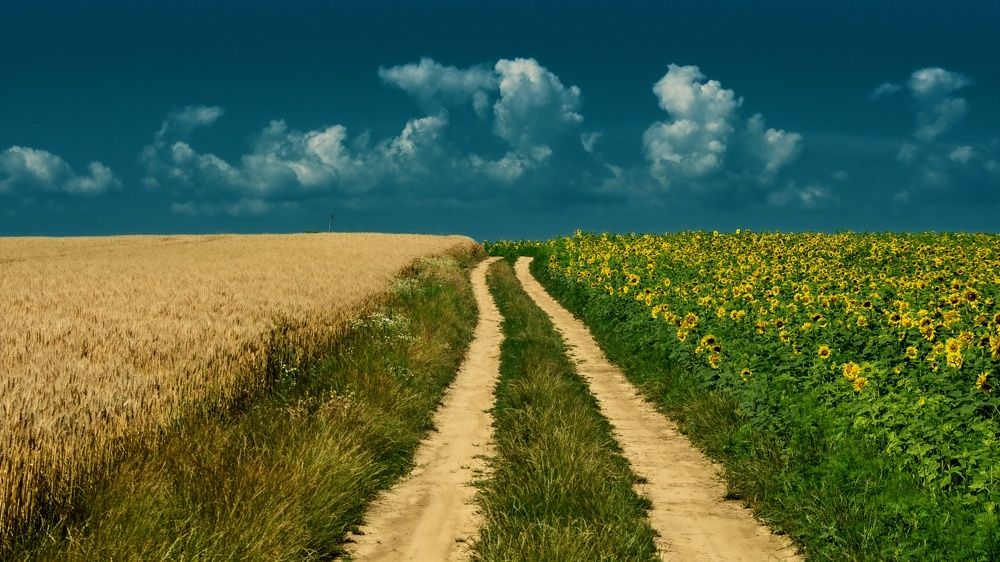 Photograph by Peter Pochyly