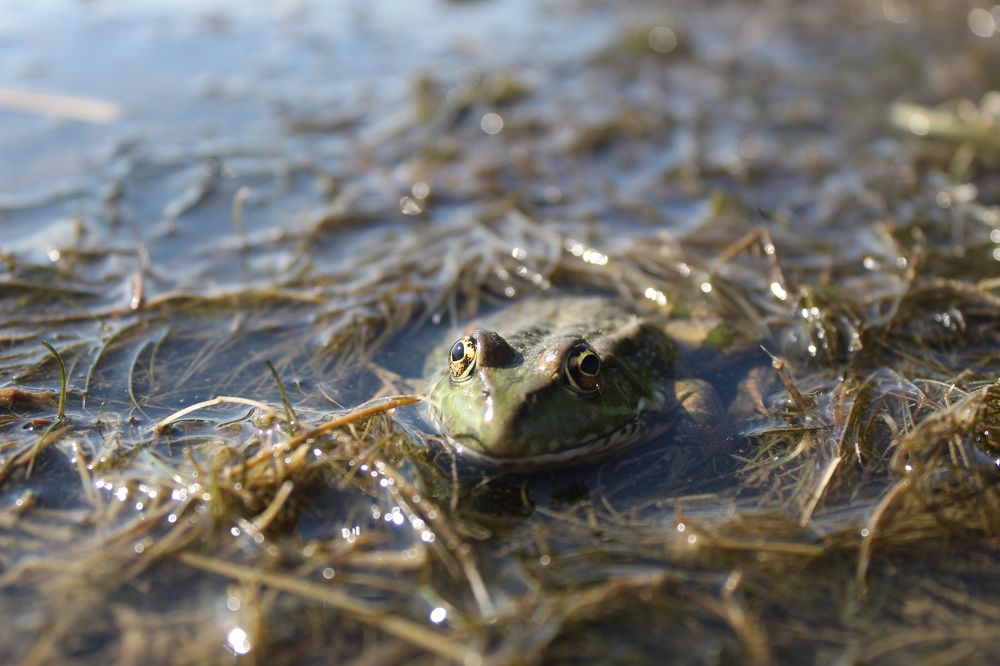 Photograph by Елена Кузнецова