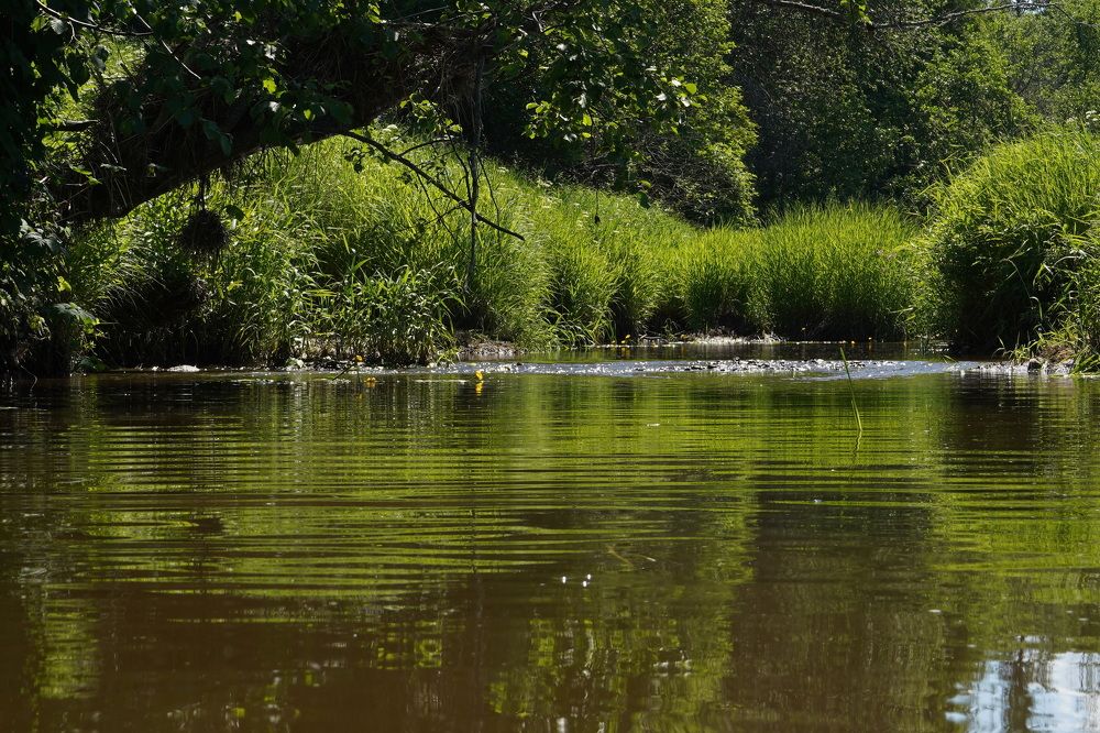 Photograph by Елена Копейкина