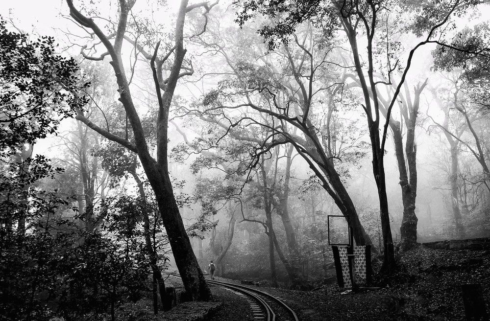 Photograph by Shubham Singh