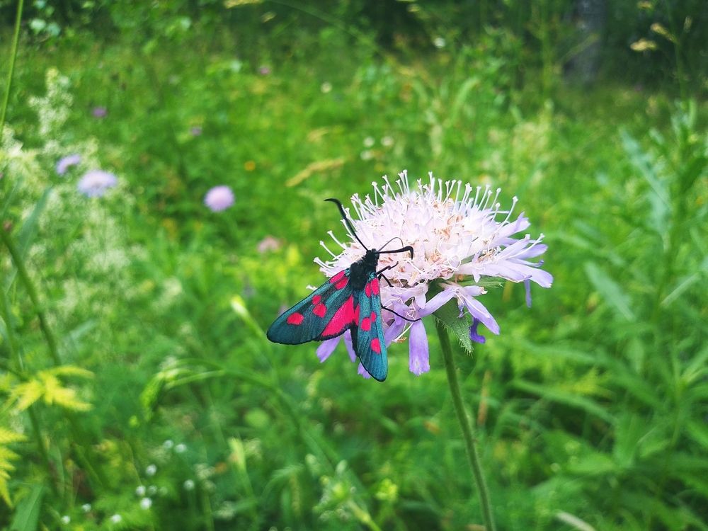 Photograph by Инна Голубева