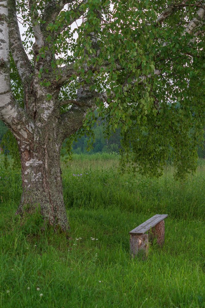 Фотография автора Алексей Шуплецов