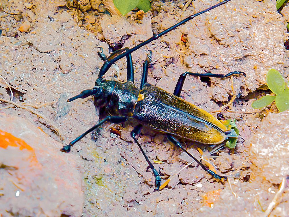 Photograph by Александр Катюрин