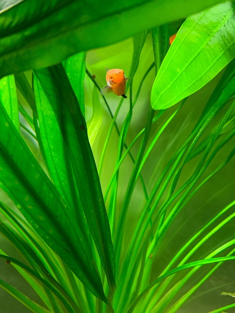 Photograph by Елена Макуха