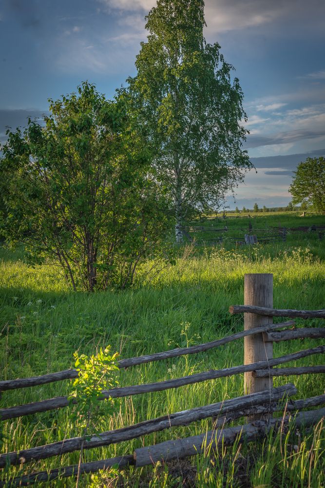 Фотография автора Алексей Шуплецов