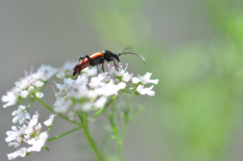 Фотография автора Медведев Сергей