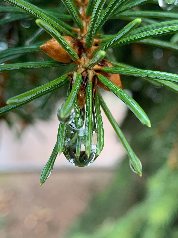 Photograph by Елена Макуха