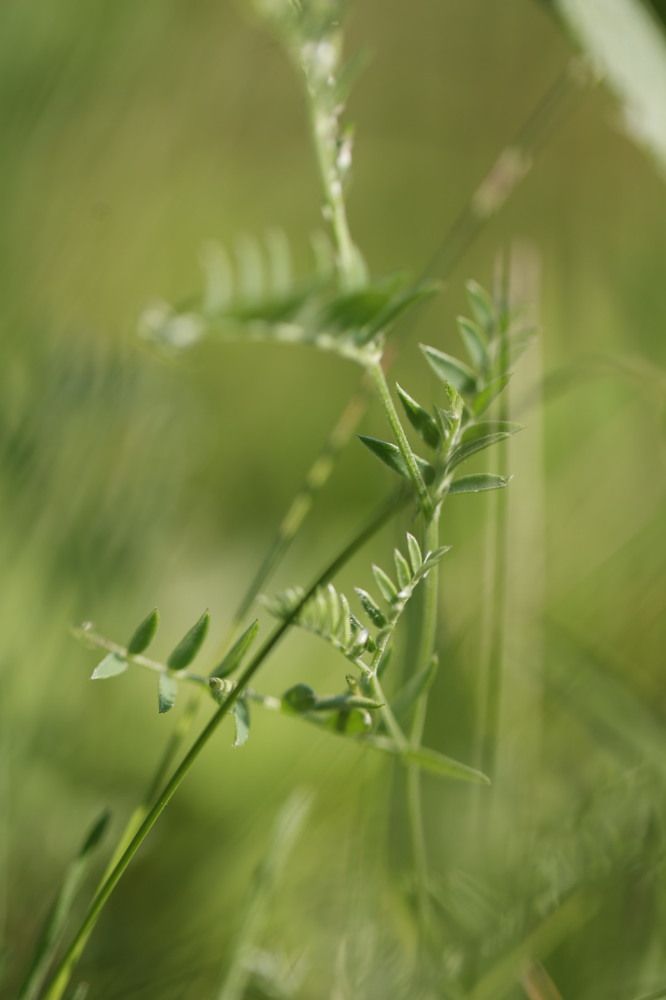 Photograph by Ольга Одаренко