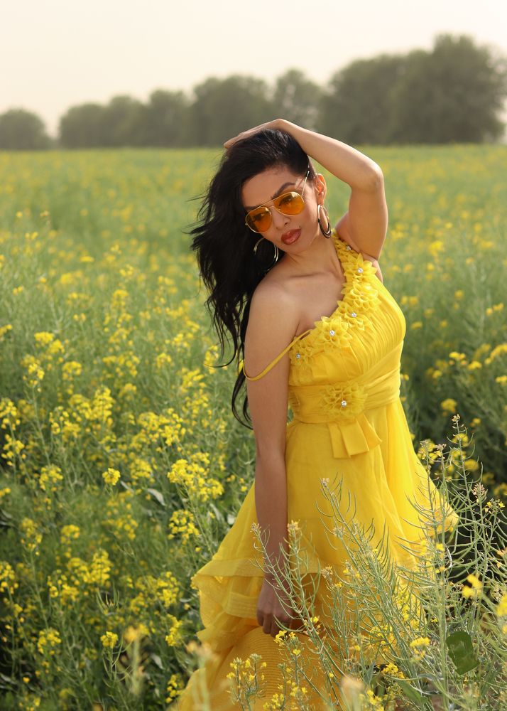 Фотография автора Shahram Hafezi