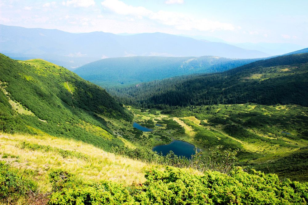 Photograph by Ольга Жаркова