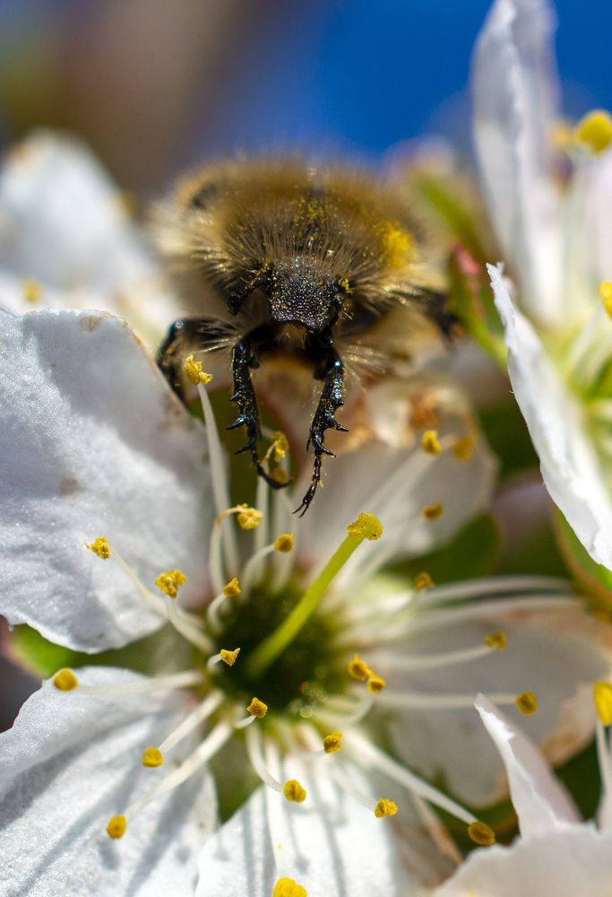 Photograph by Владимир Желтов