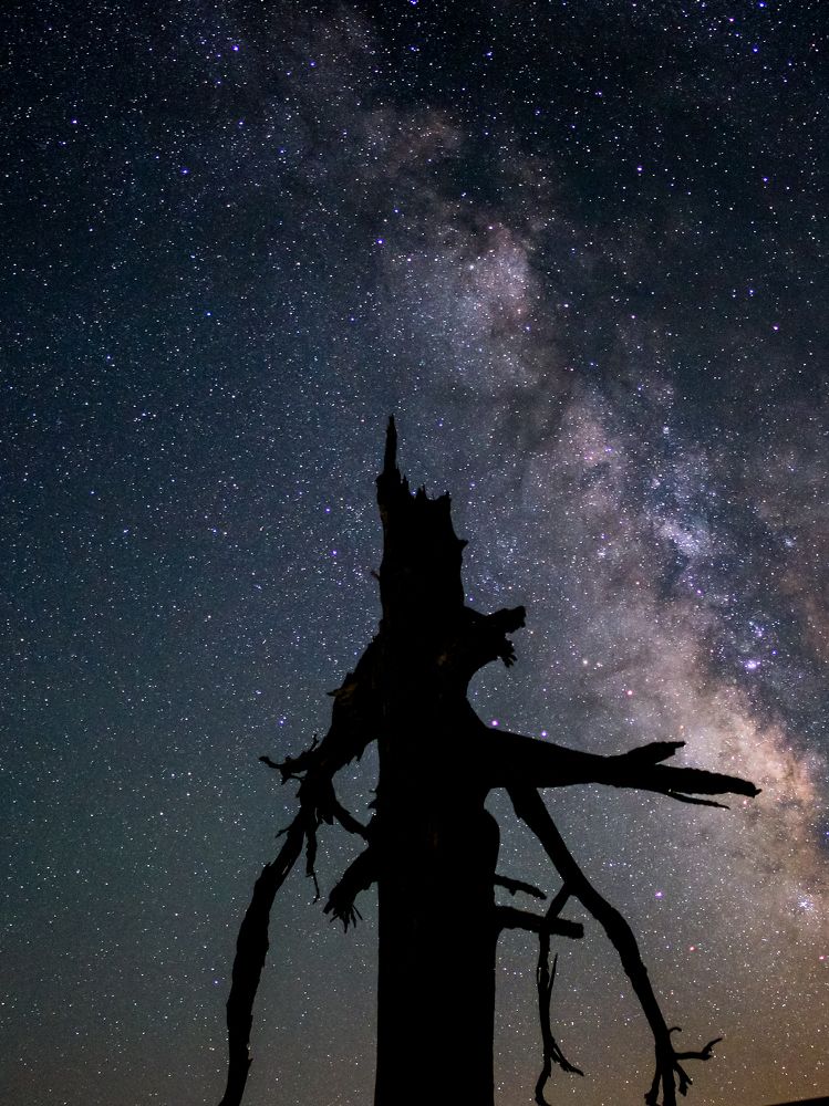 Photograph by Karatolos Nikos