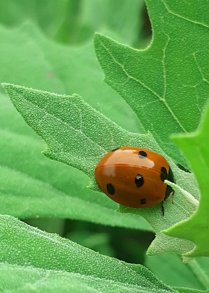 Photograph by Олег Рымаренко