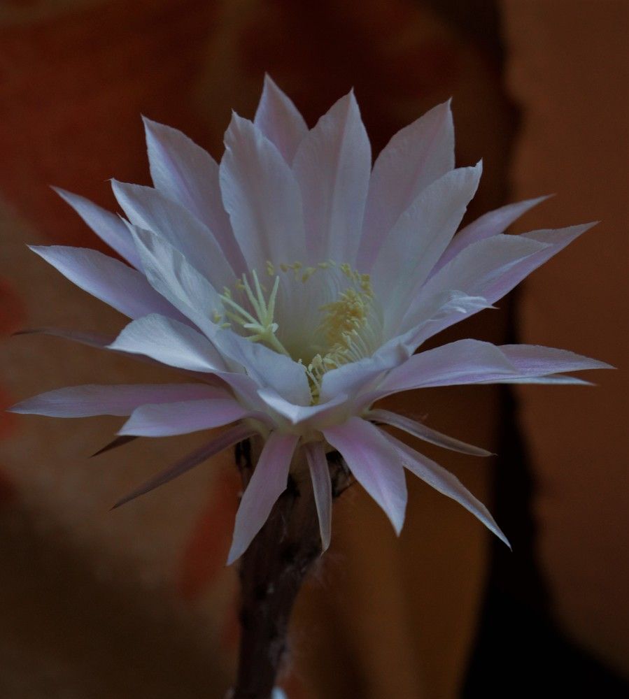 Photograph by Людмила Бутова