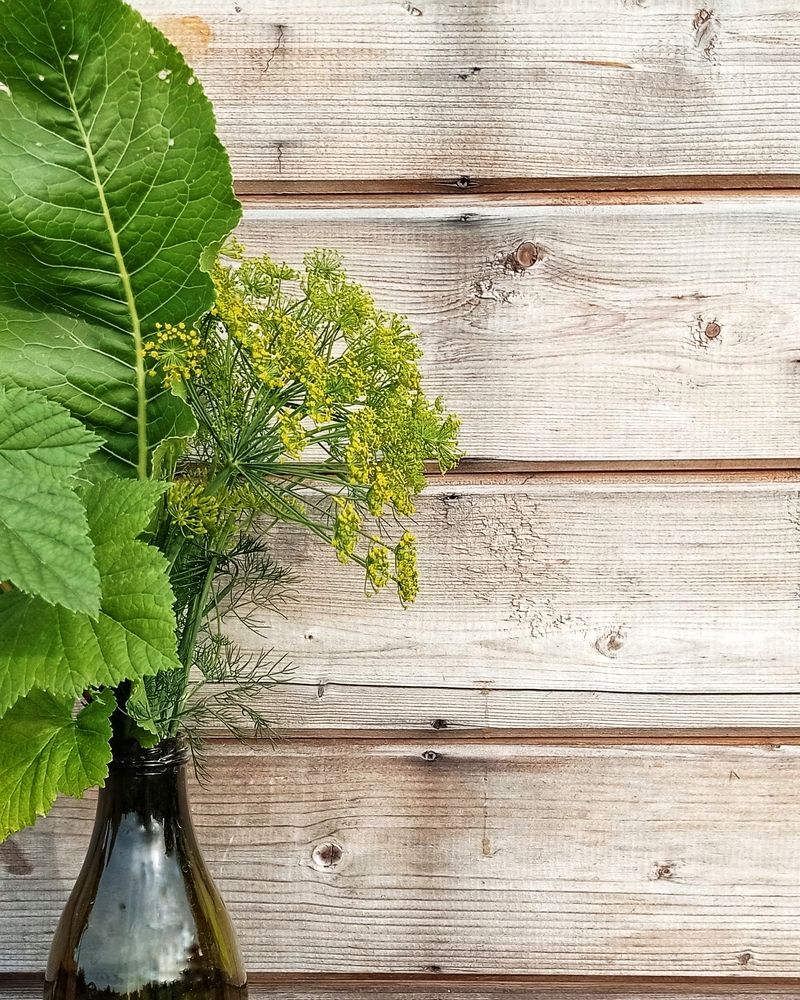 Photograph by Ольга Третьякова