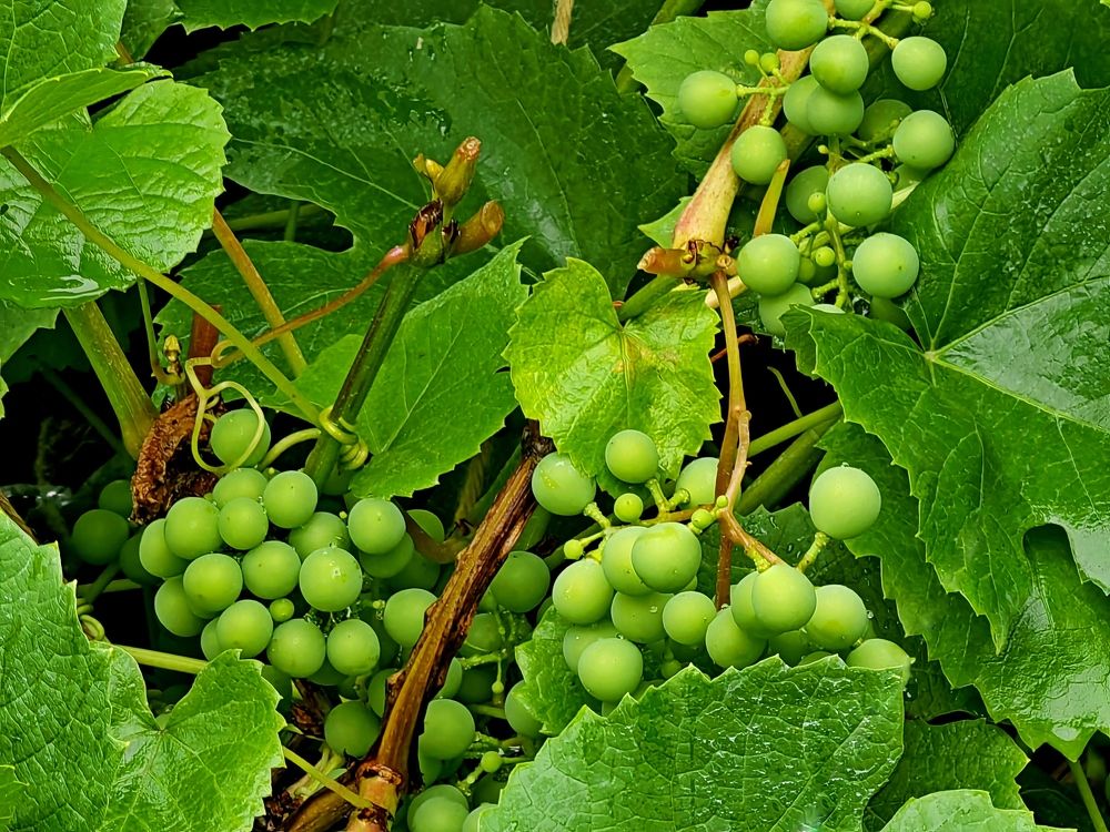 Photograph by Yulian Mr