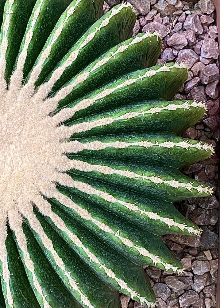 Фотография автора Александр Заикин