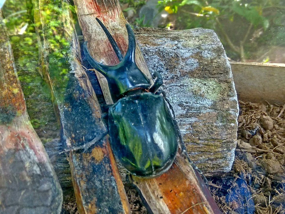 Photograph by Yulian Mr