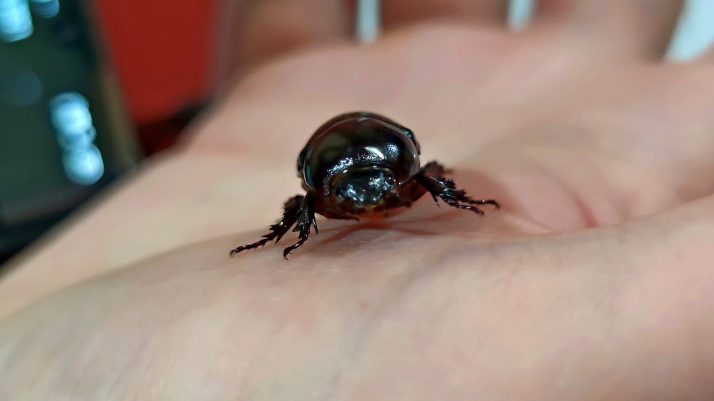 Photograph by Yulian Mr