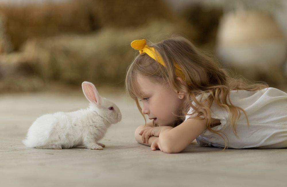 Photograph by Катерина Повидайко