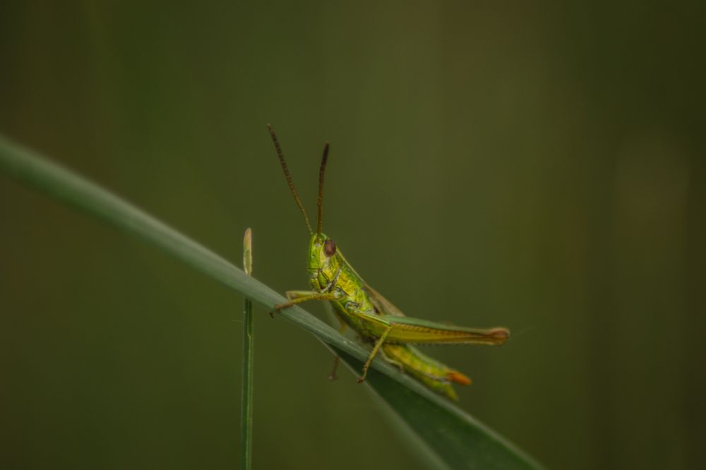 Photograph by Софья Лученкова