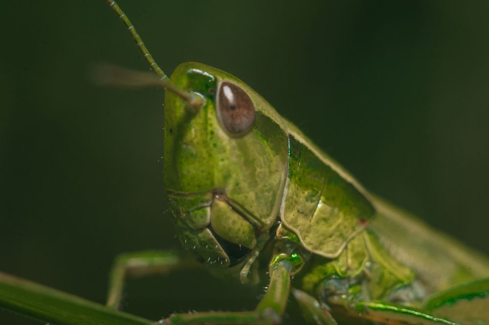 Photograph by Софья Лученкова