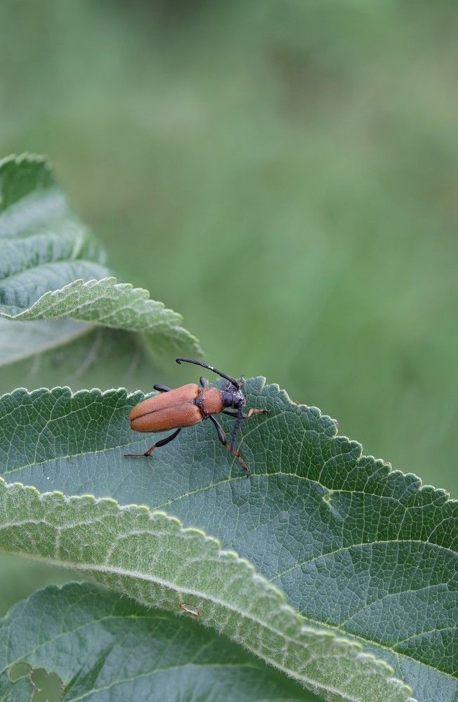 Photograph by Илья Пономарев