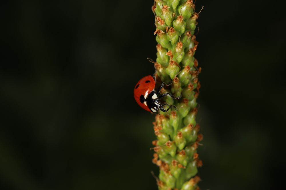 Photograph by Илья Пономарев