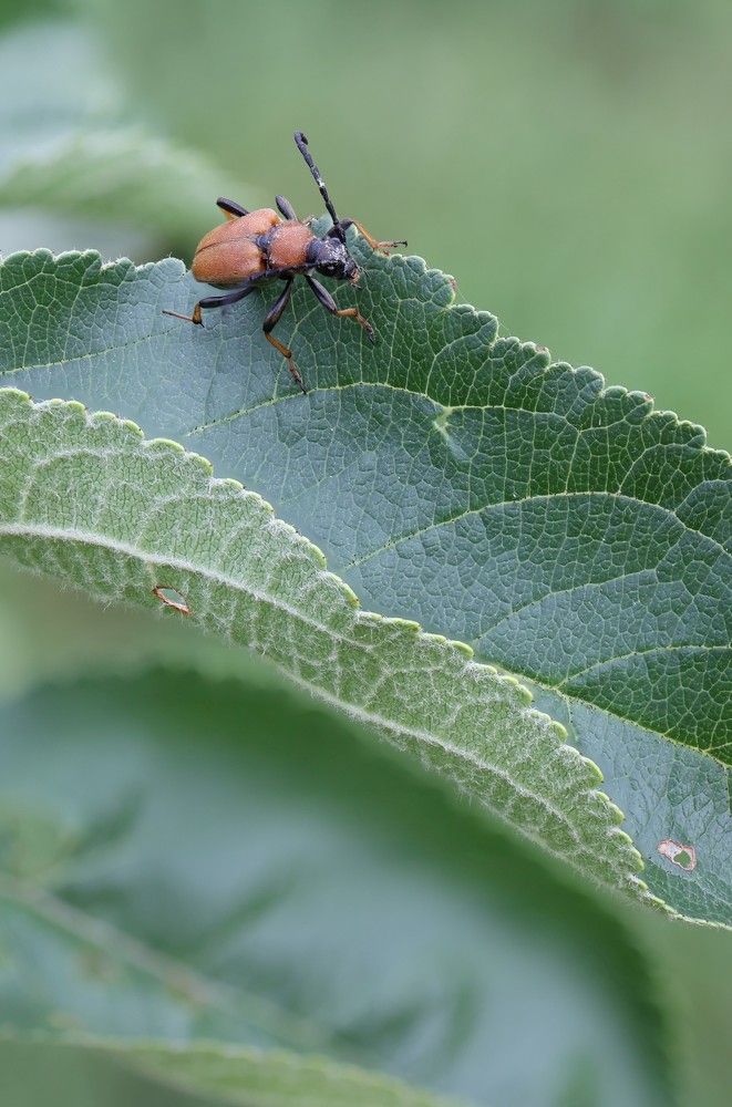 Photograph by Илья Пономарев