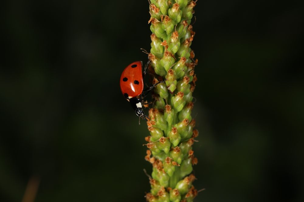 Photograph by Илья Пономарев