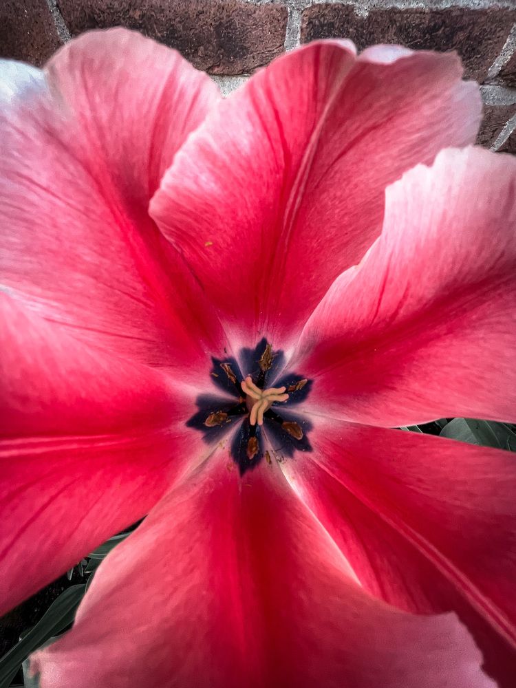 Фотография автора Anna NovaLova