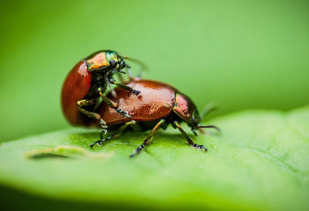 Photograph by Даркина Дарья