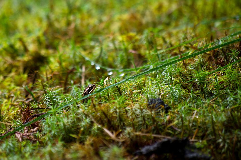 Фотография автора Olga Sarieva