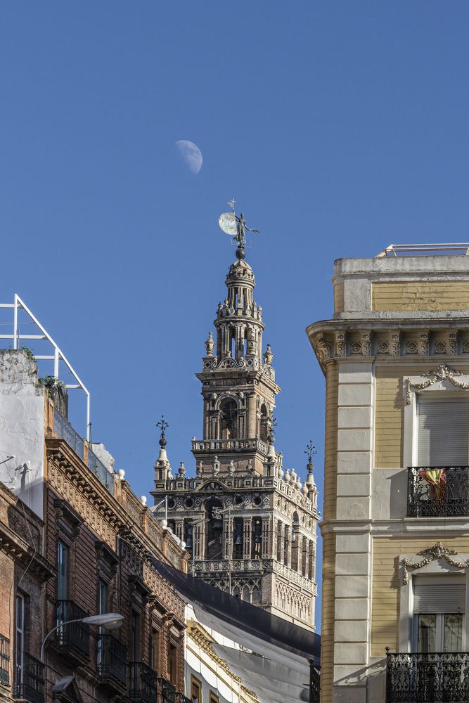 Photograph by Marden Acampora