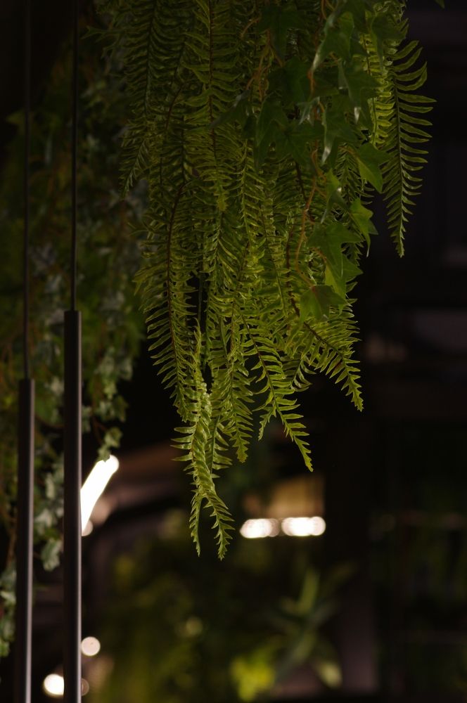 Фотография автора Olga Sarieva