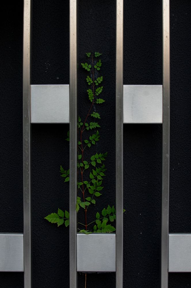 Фотография автора Olga Sarieva