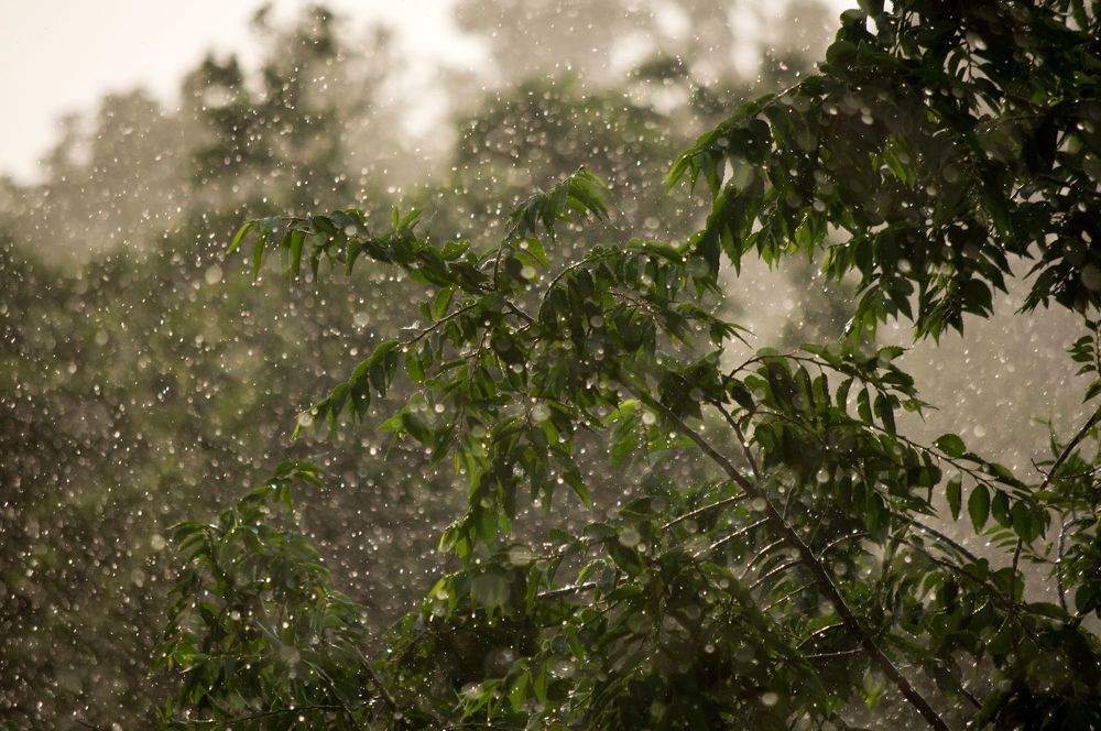 Фотография автора Olga Sarieva