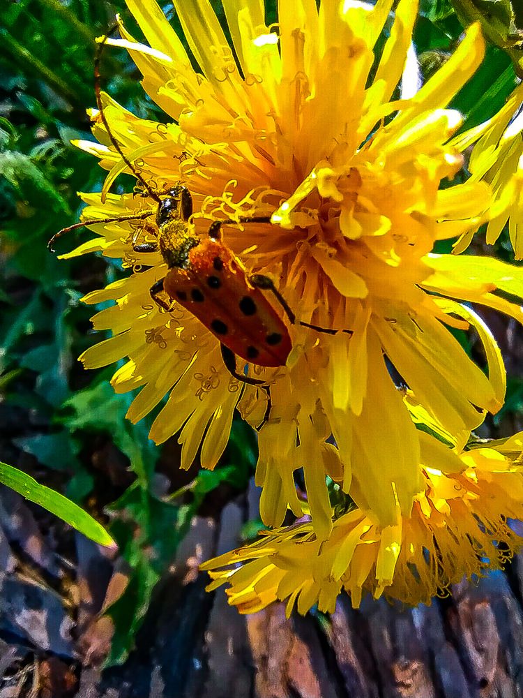 Photograph by Алексей Егоров