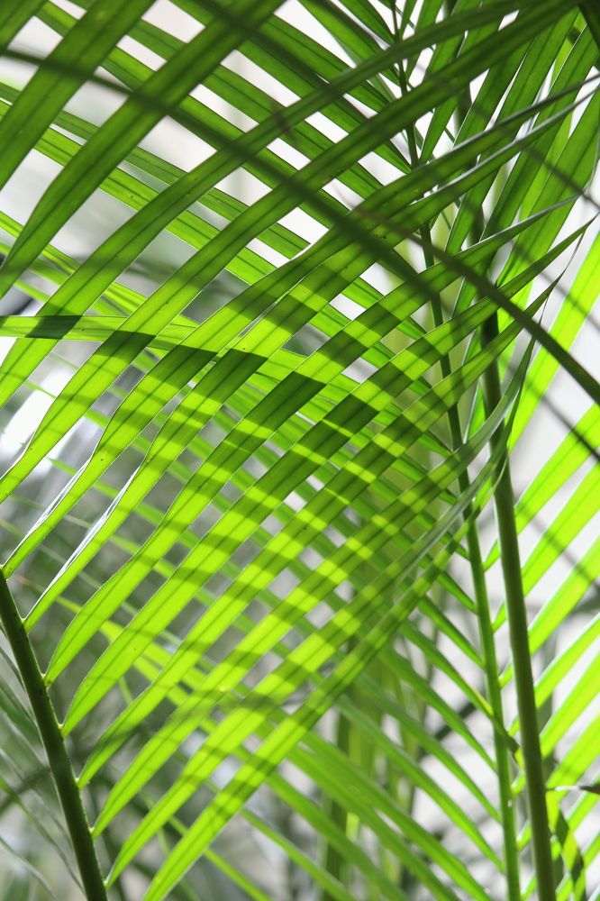 Фотография автора Olga Schneider