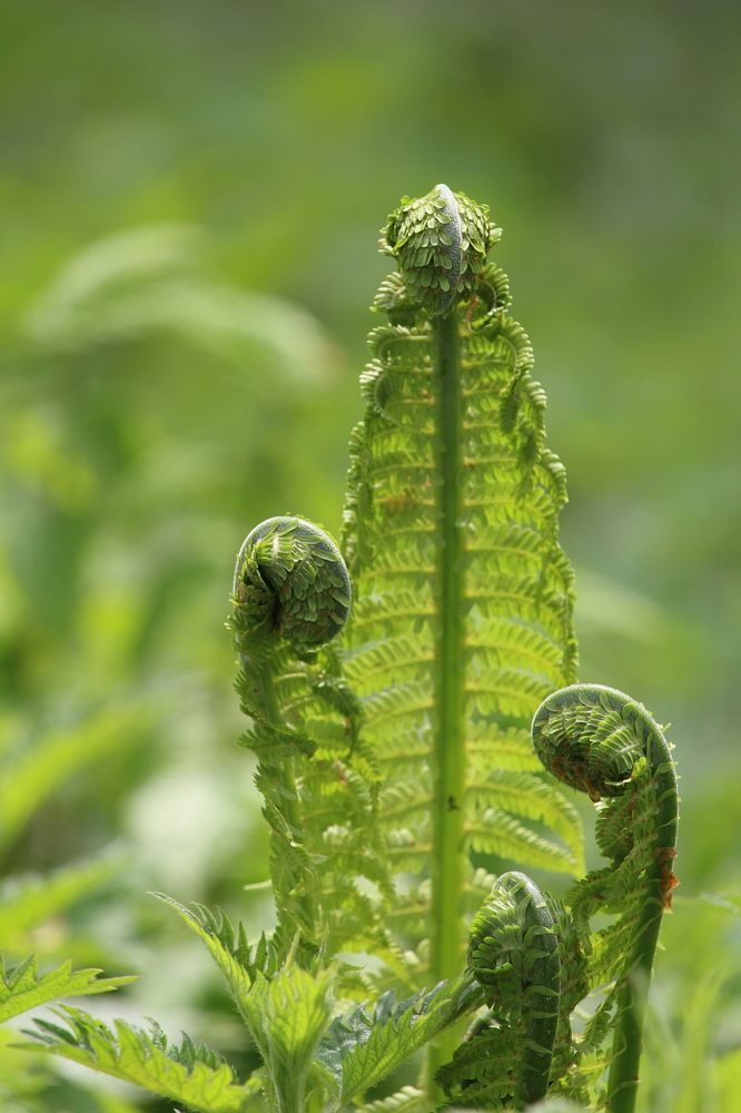 Фотография автора Olga Schneider