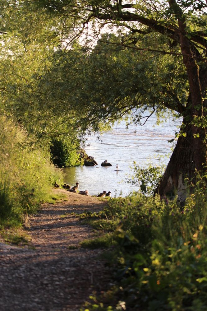 Фотография автора Olga Schneider