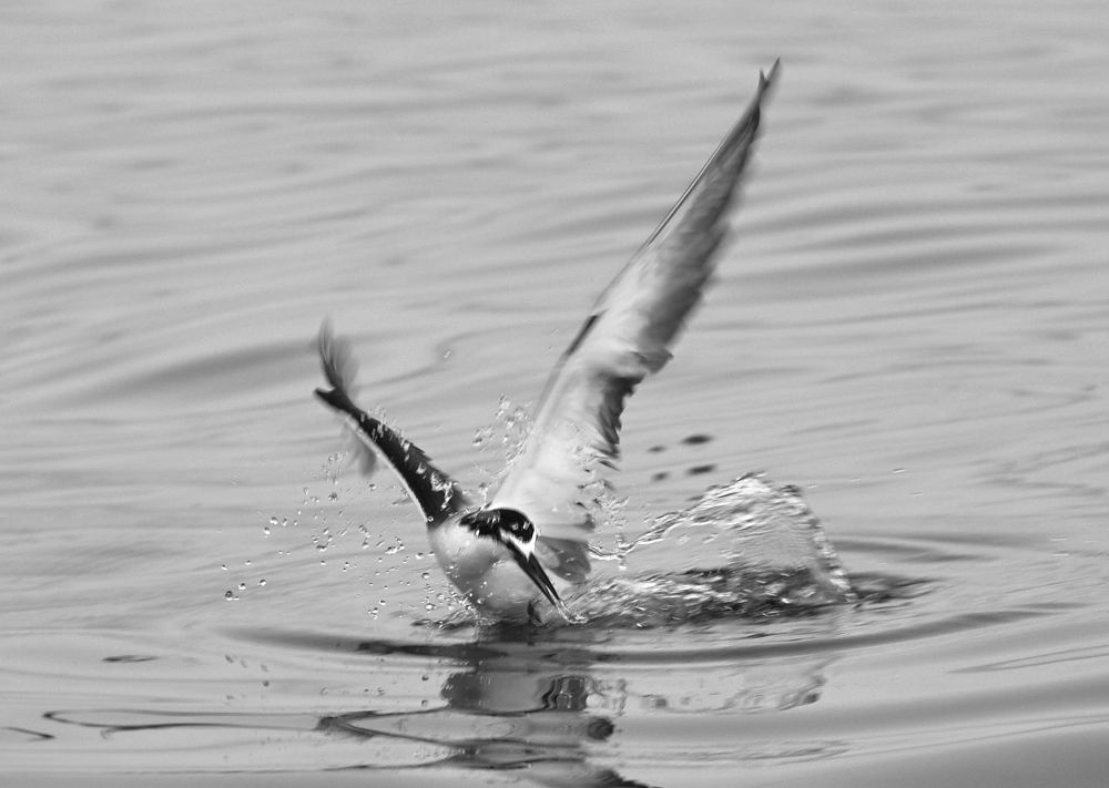 Фотография автора Maurice Leung